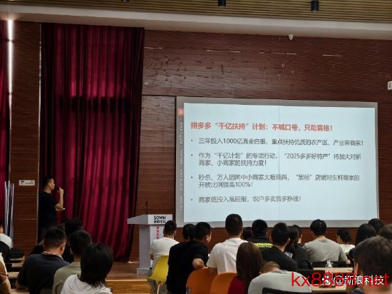 拼多多Q1财报，推崇平台企业社会担当，进入千亿护航商家穿越周期